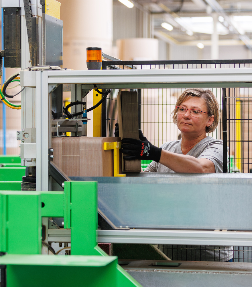 De eco verpakkingen van Carre Karton